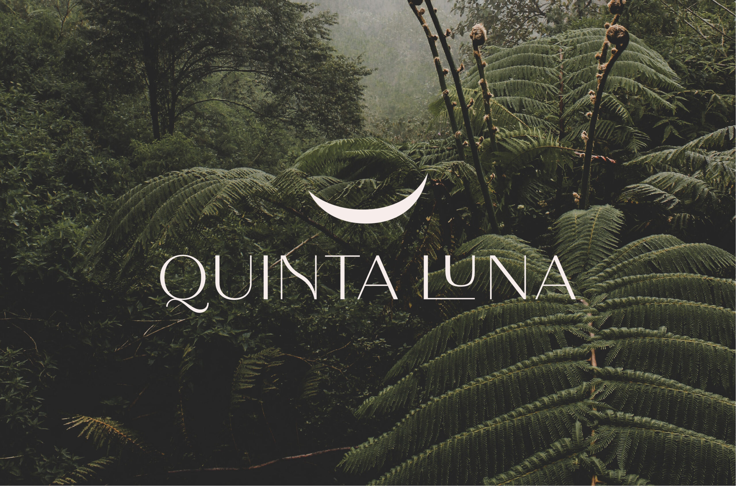 Quinta Luna